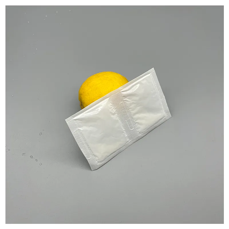 24 Cell Sheet Seafood Food Delivery Packaging Ice Pack Sheet Absorption Water Fabric Freezer Dry Ice Cold Gel Packs