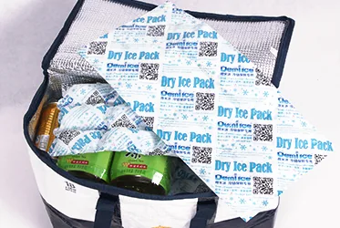 24 Cell Sheet Seafood Food Delivery Packaging Ice Pack Sheet Absorption Water Fabric Freezer Dry Ice Cold Gel Packs