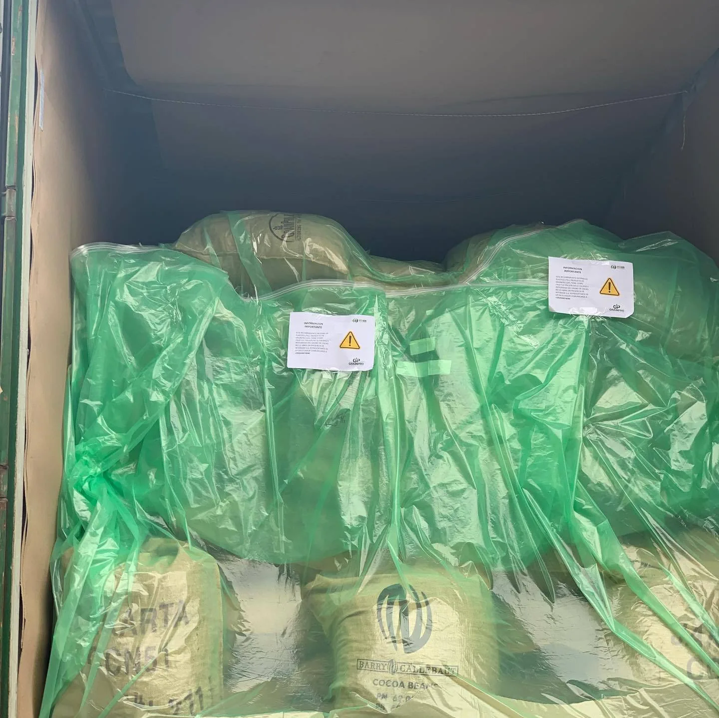 Container Dry Bulk Liner 20ft 40ft Sea Bag Waterproof Moisture-Proof Extruded PE for Cocoa