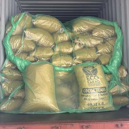 Container Dry Bulk Liner 20ft 40ft Sea Bag Waterproof Moisture-Proof Extruded PE for Cocoa
