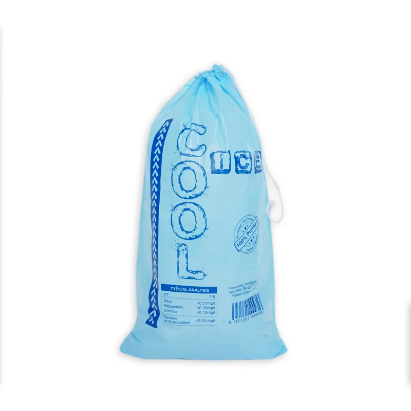 Custom Printed Logo Large Capacity Disposable LDPE 8/10/20 LB Plastic Drawstring Ice Cube Bag Reusable