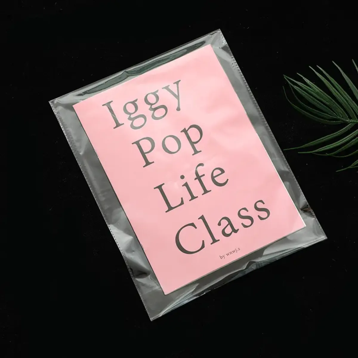 Custom Transparent OPP Bags Reusable Self-Sealing Bags Plastic Clothing Packaging Pouch PE CPE Self-adhesive Bags