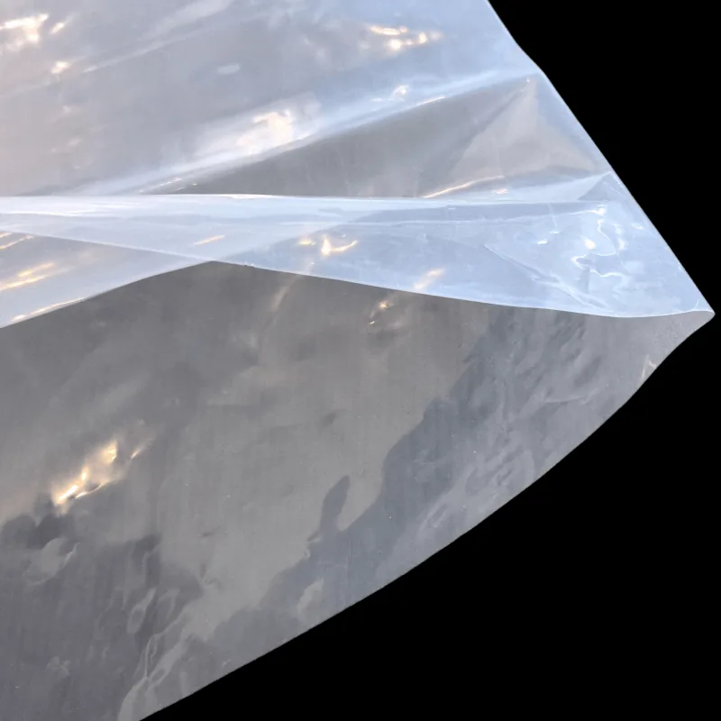 Direct LDPE Transparent Flat - Bottom Bags: Ideal for Packaging Shoes, Clothing & Fashion Accessories