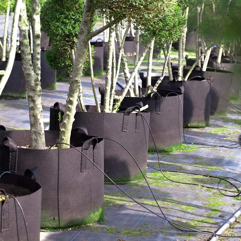 Heavy Duty Fabric Nursery Grow Bags Customizable Capacity Black Pe Plant Grow Bags