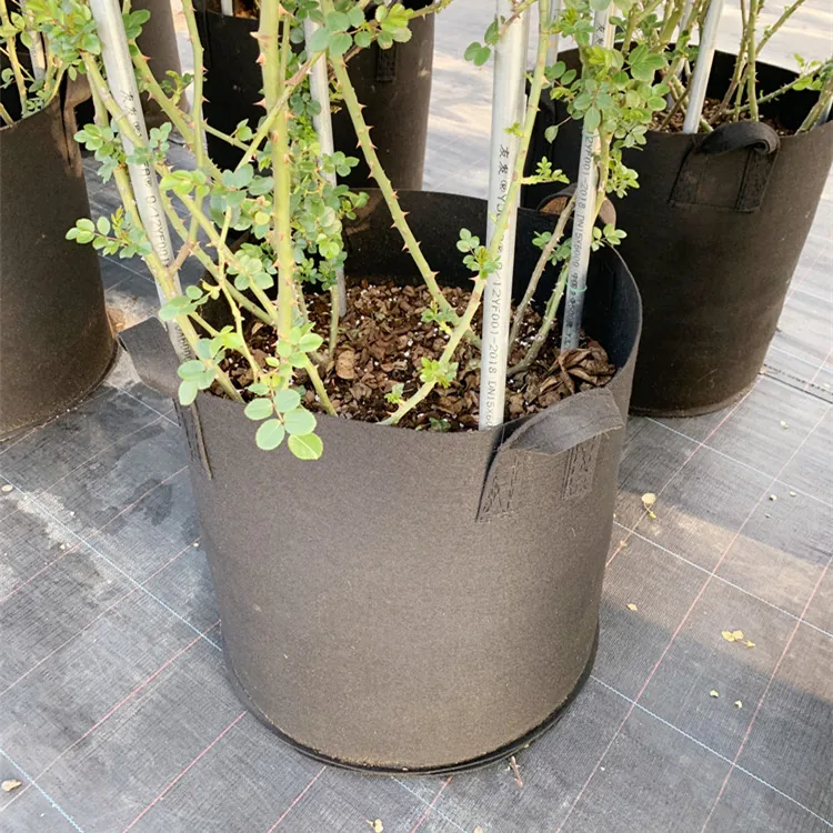 Heavy Duty Fabric Nursery Grow Bags Customizable Capacity Black Pe Plant Grow Bags