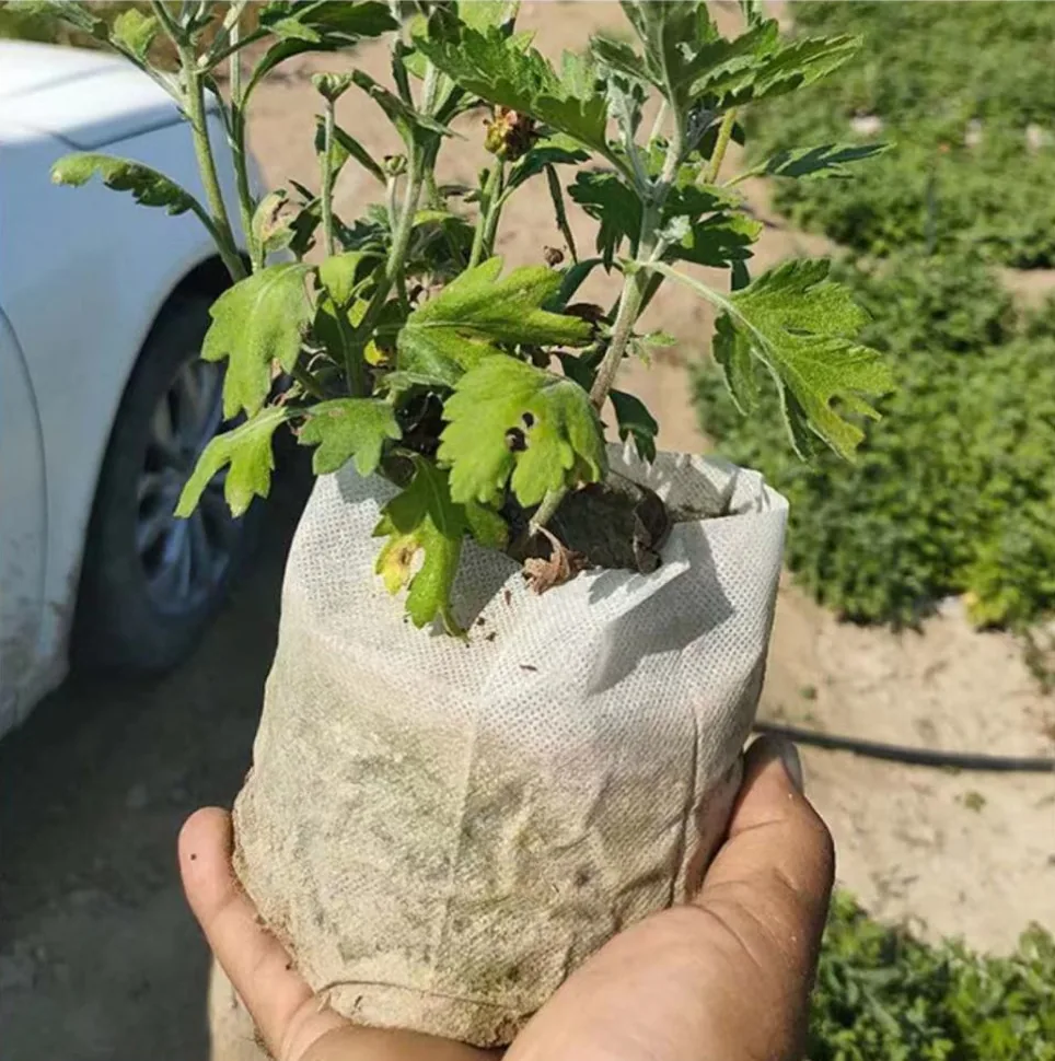 Eco Friendly Square Nursery Grow Bags White Biodegradable Non-Woven Fabric for Planting Tree and Seedling Aeration