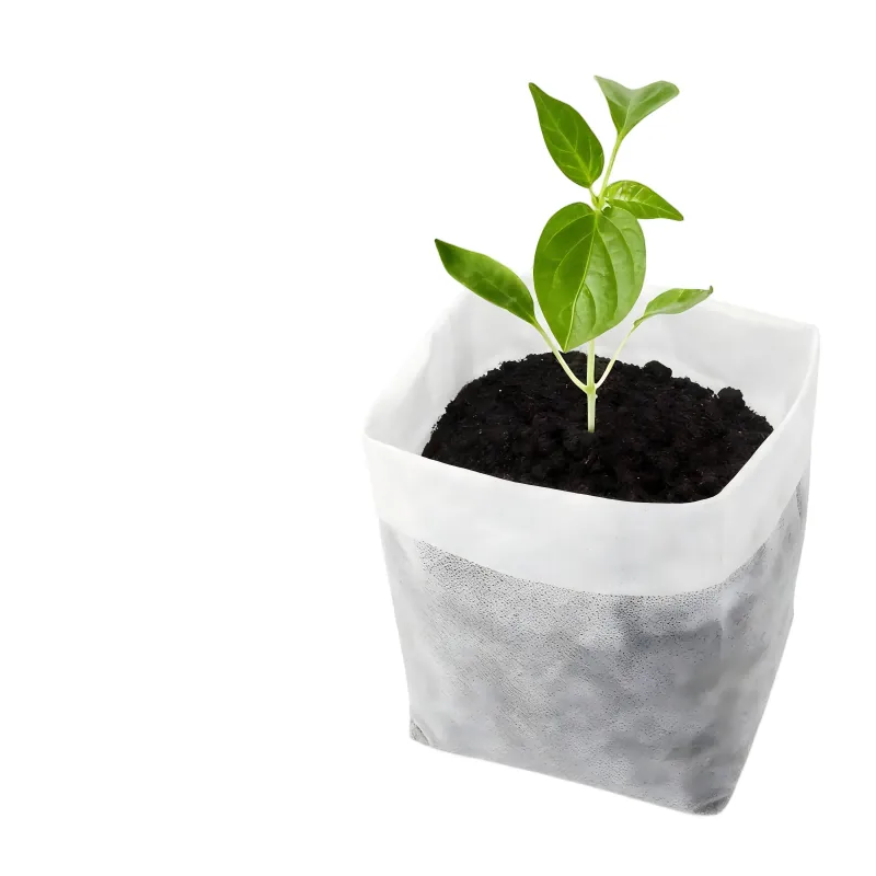 Eco Friendly Square Nursery Grow Bags White Biodegradable Non-Woven Fabric for Planting Tree and Seedling Aeration