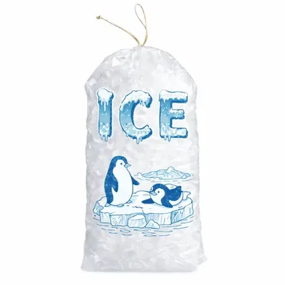 LDPE Drawstring Ice Bag — 8 lb, 10 lb and 20 lb Formats
