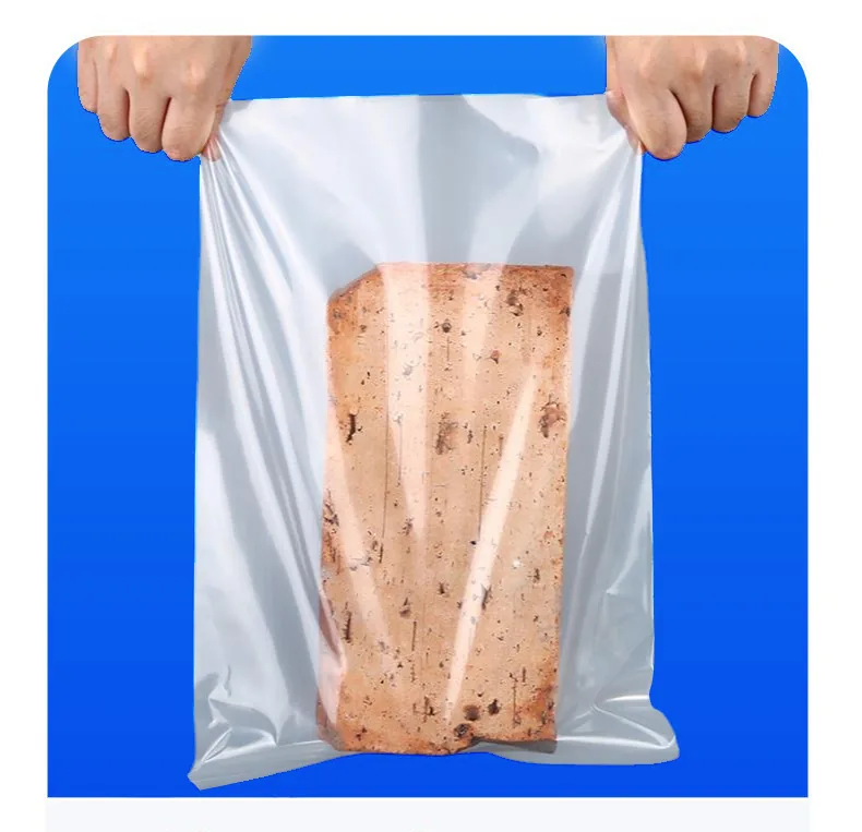 Clear LDPE Flat Open-End Poly Bag for Food and Dry Goods