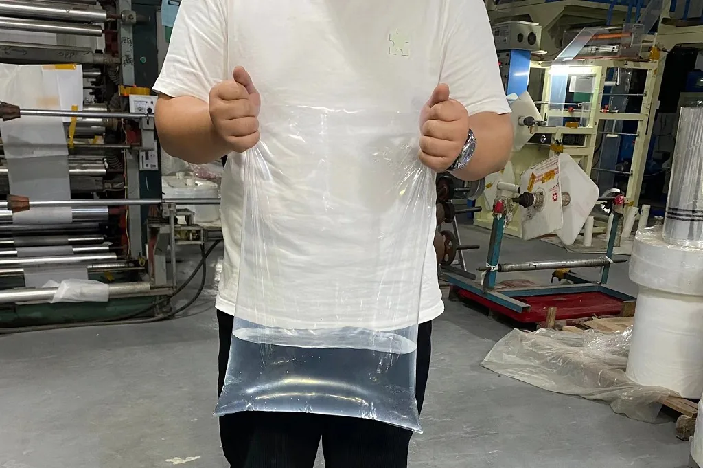 Clear LDPE Flat Open-End Poly Bag for Food and Dry Goods