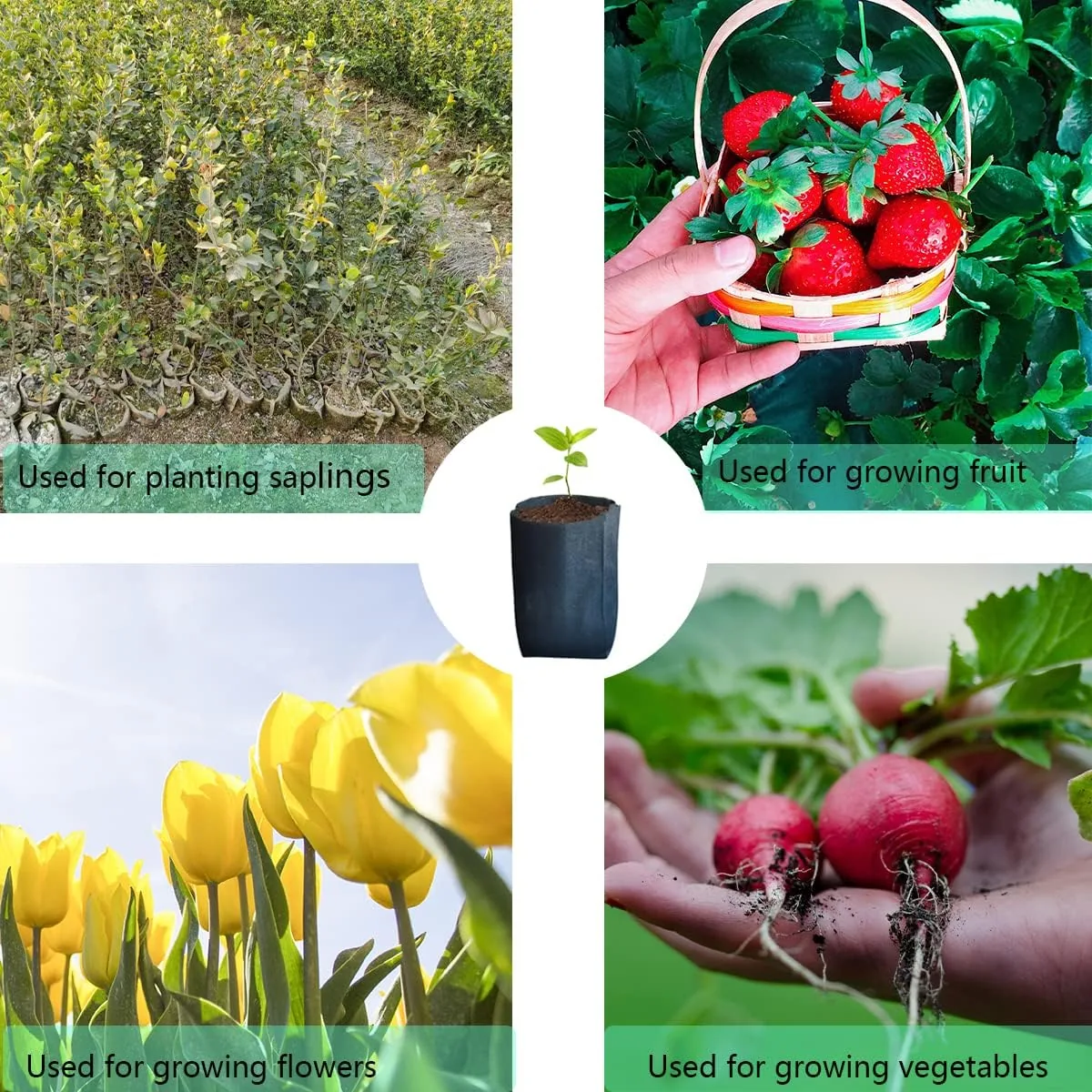 Nursery Non-Woven Fabric Seedling Bags Biodegradable Grow Bags for Home Garden Supply Tree Flower Vegetable Seed Starter Bags