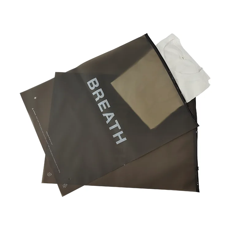 Zip Lock Custom Printed Black CPE Jewelry Frosted Plastic Bag with Slider Zipper Frosted Zipper Poly Bag With Your Logo